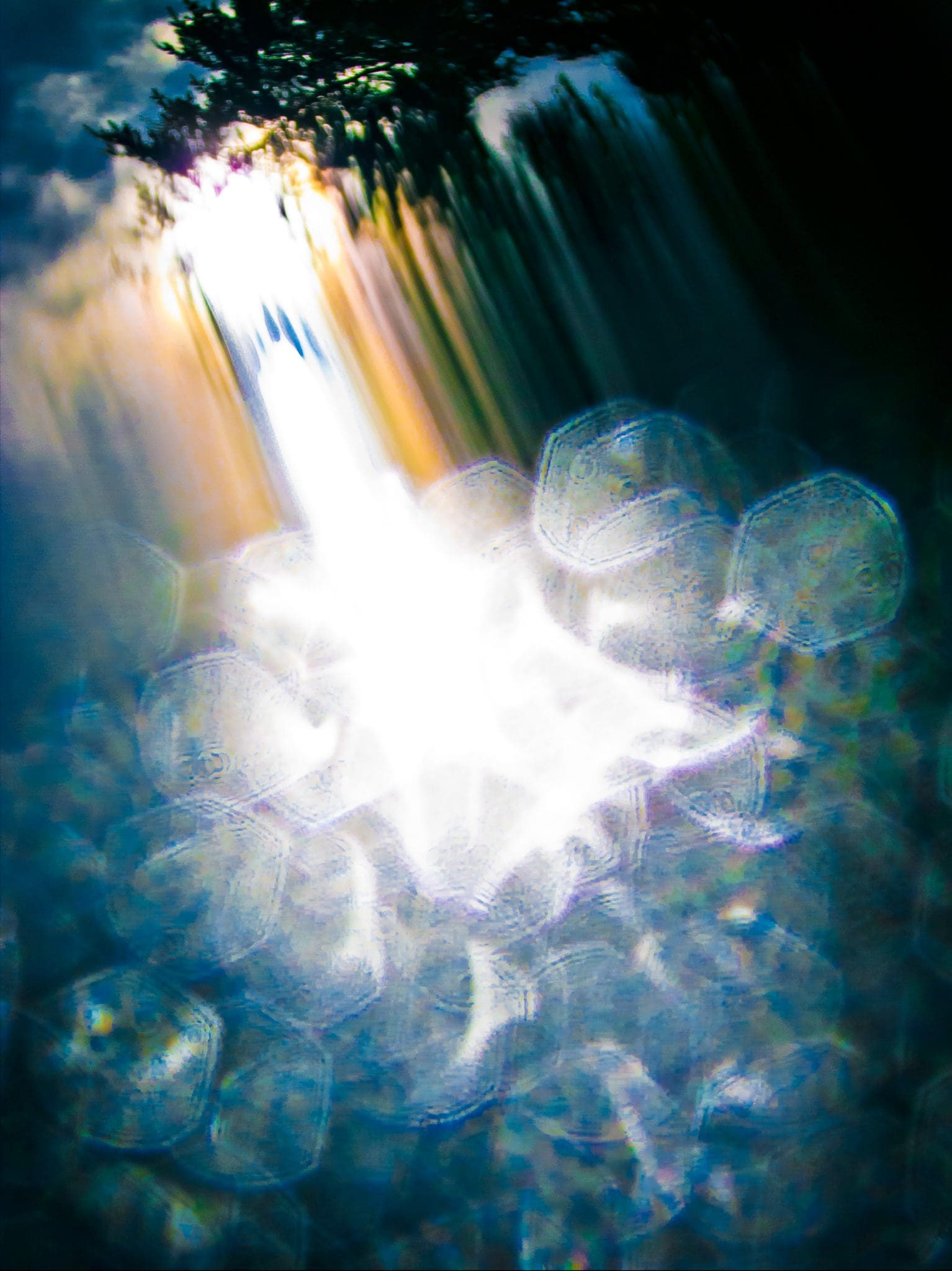 Alive Nightfall (Alive)