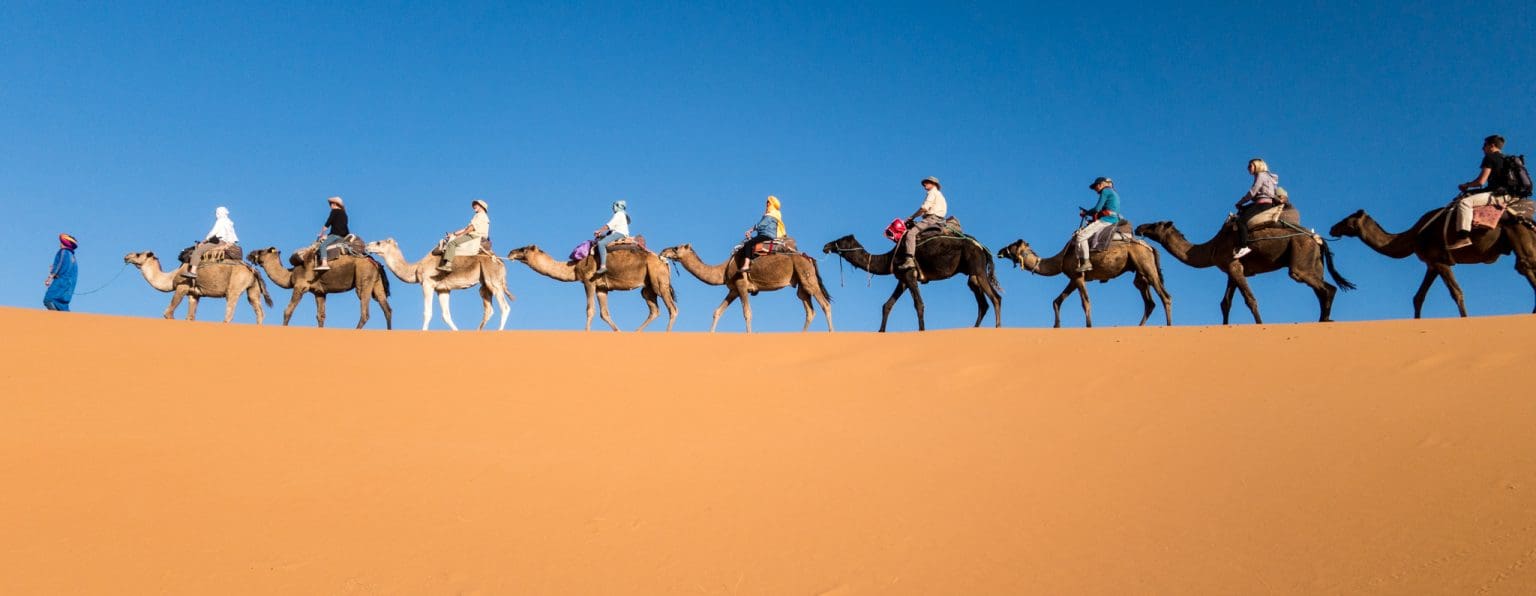camel caravan