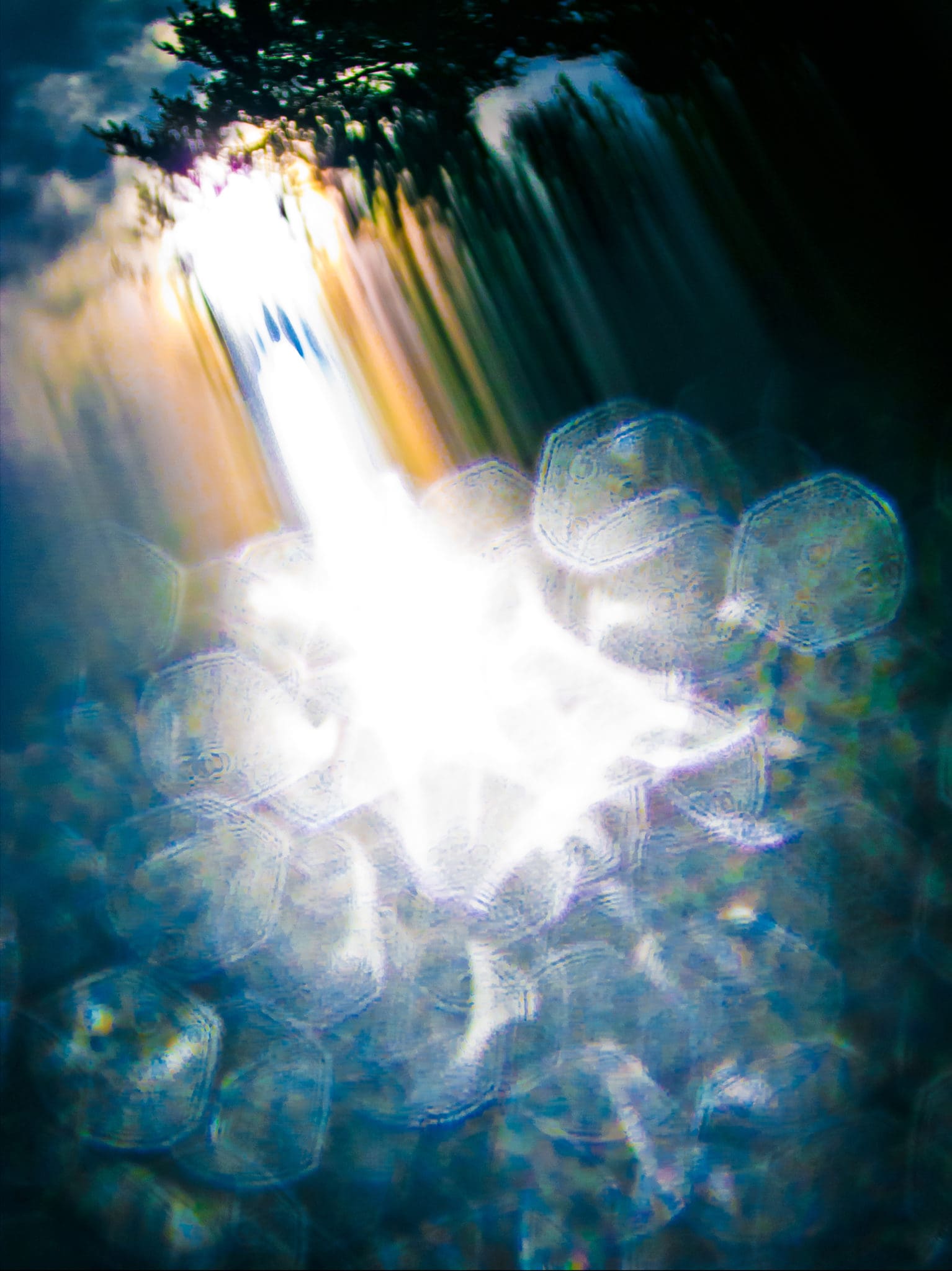 Alive (Lightfall)