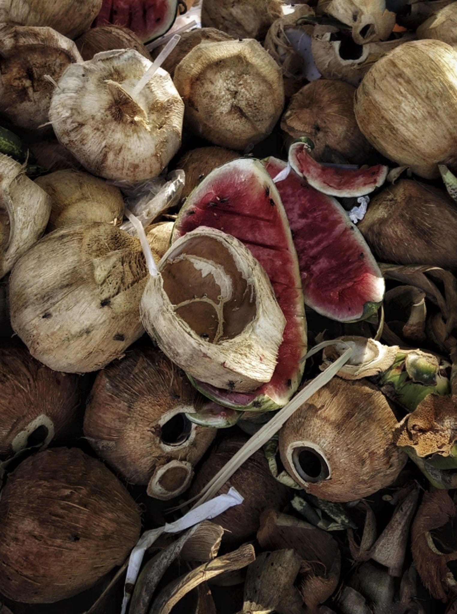 coconut shells & watermelon rinds coconut shells & watermelon rinds