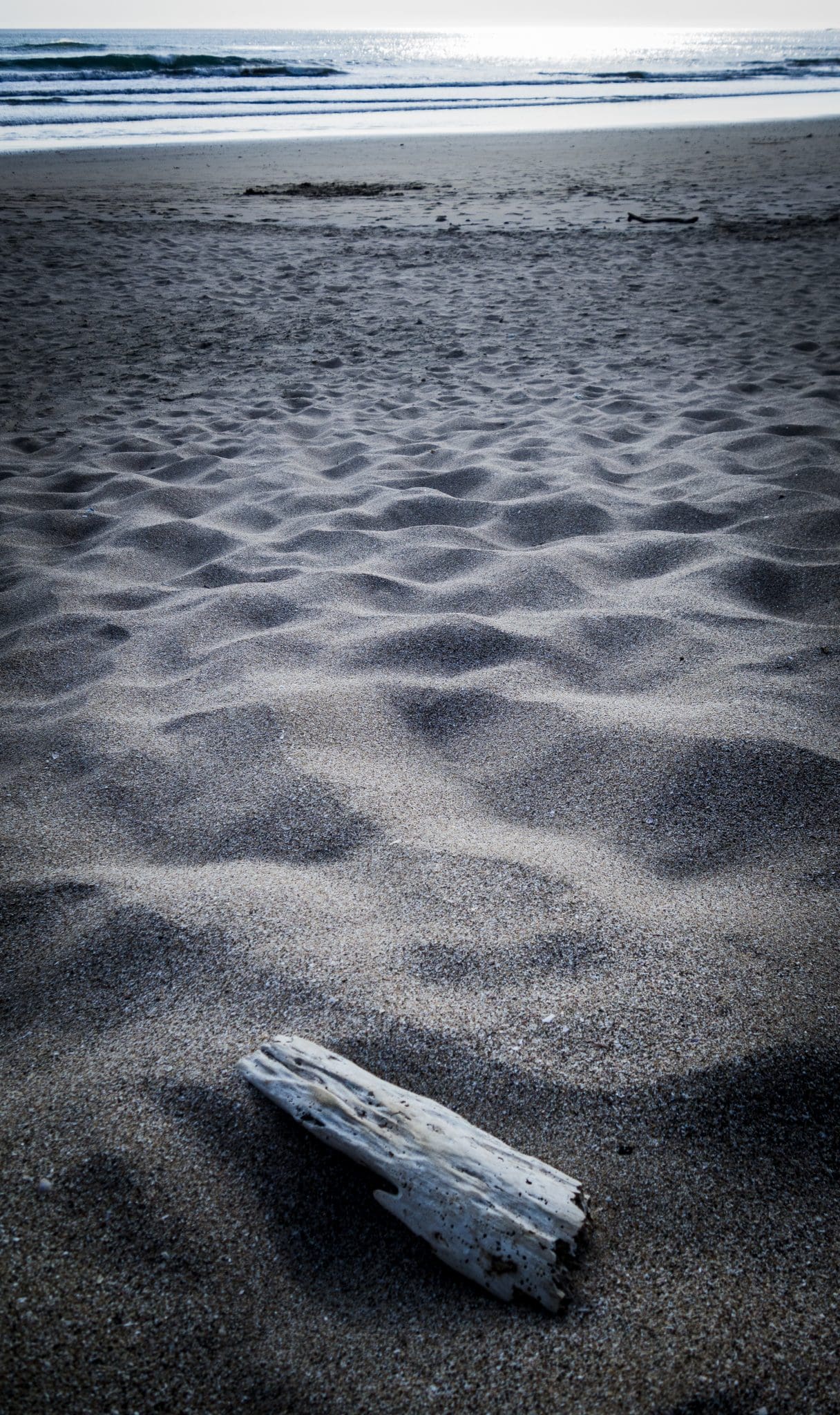 driftwood driftwood