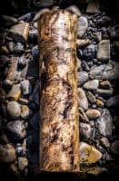 Driftwood (Owls Head, Maine)