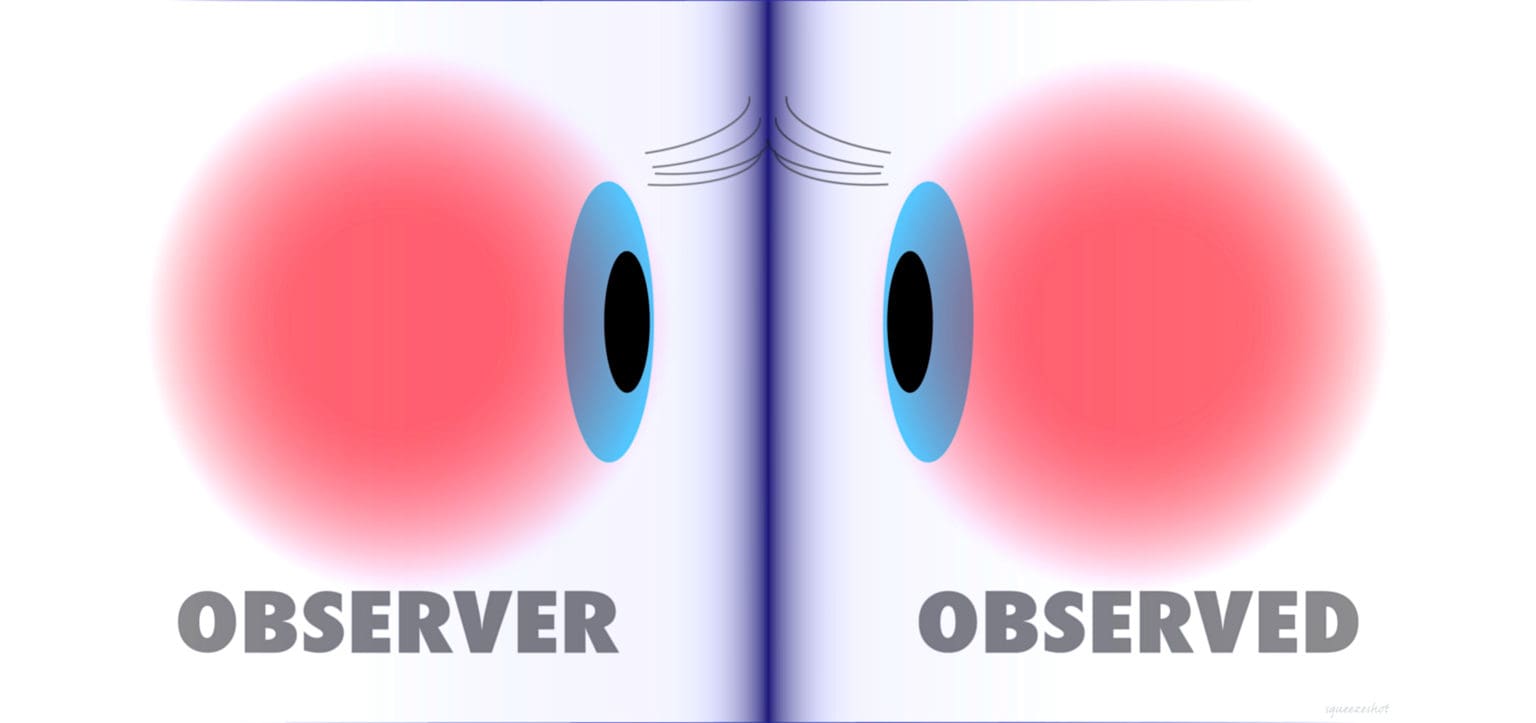 Observer-Observed